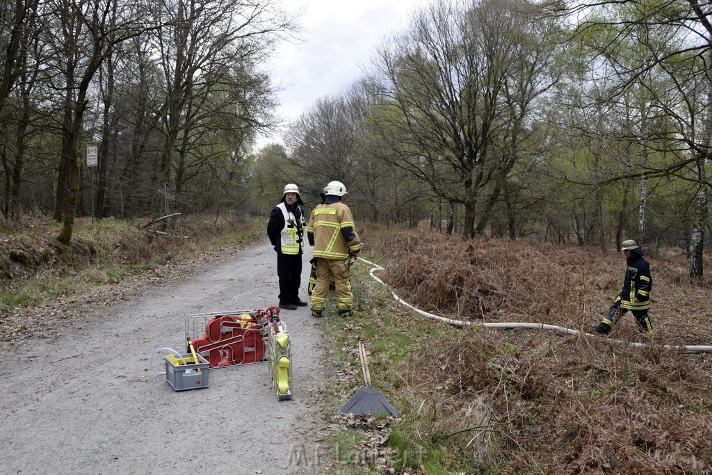 Waldbrand Wahner Heide Troisdorf Eisenweg P095.JPG - Miklos Laubert